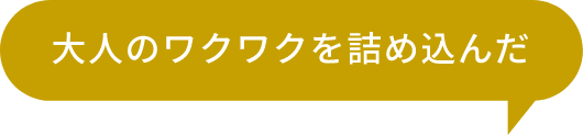 大人のワクワクを詰め込んだ