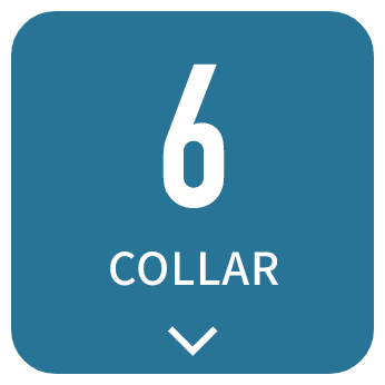 6 COLOR